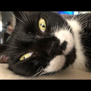 Meet your Posher, Christy